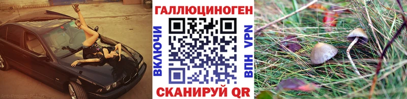 Галлюциногенные грибы Psilocybe  сколько стоит  Рузаевка 